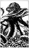 Roctopus