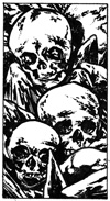 Skull+Bones
